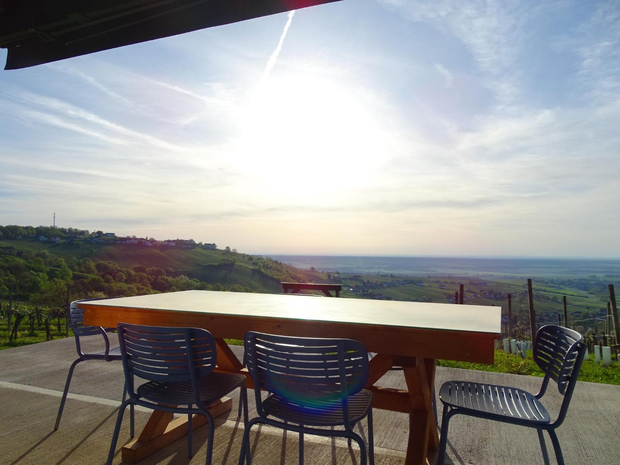 Kellerstoeckl Am Berg Villa Eisenberg an der Pinka Екстериор снимка