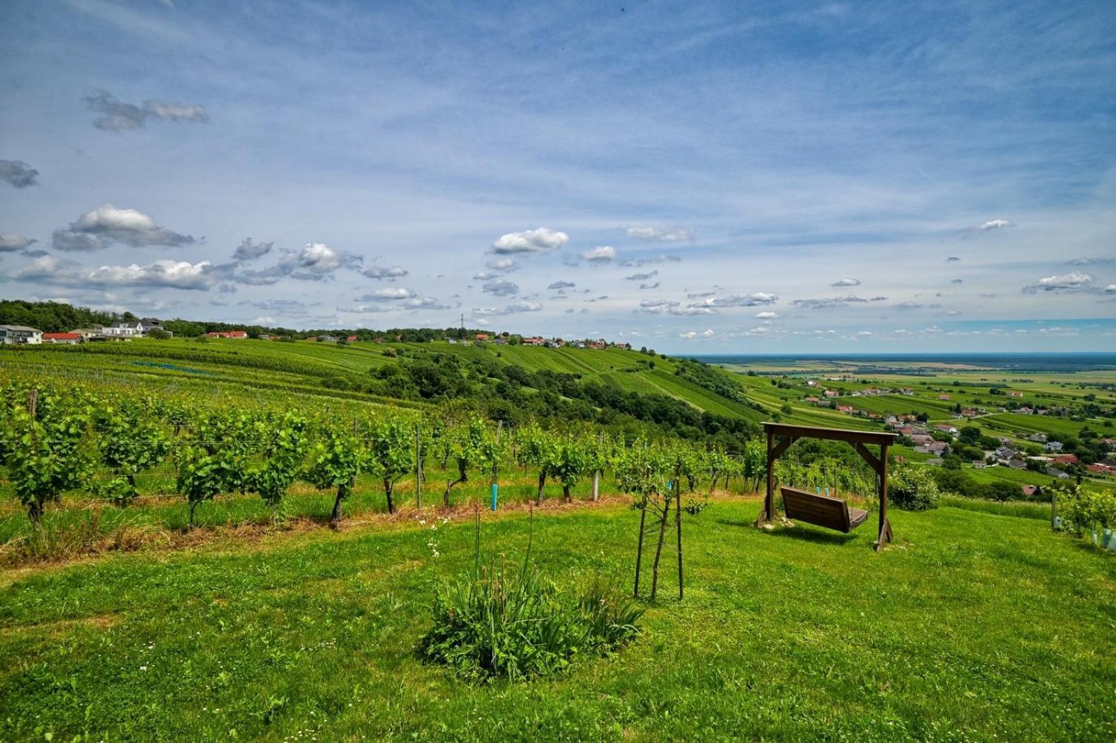Kellerstoeckl Am Berg Villa Eisenberg an der Pinka Екстериор снимка